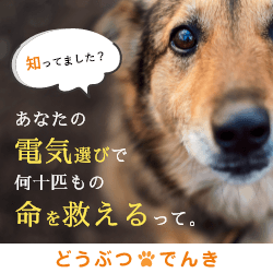 動物に寄り添った電力サービス【どうぶつでんき】