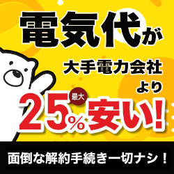 電気代対策も脱炭素も【しろくま電力（パワー）】